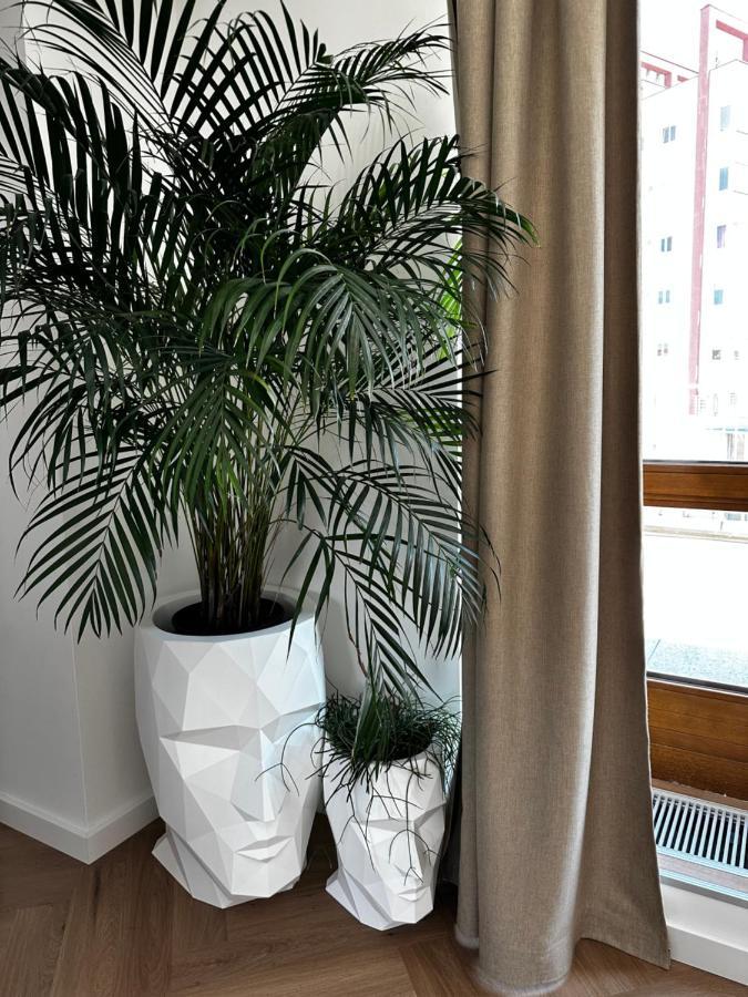 Apartament Luxury Penthouse At The Historical Centre With Free Parking Bratysława Zewnętrze zdjęcie