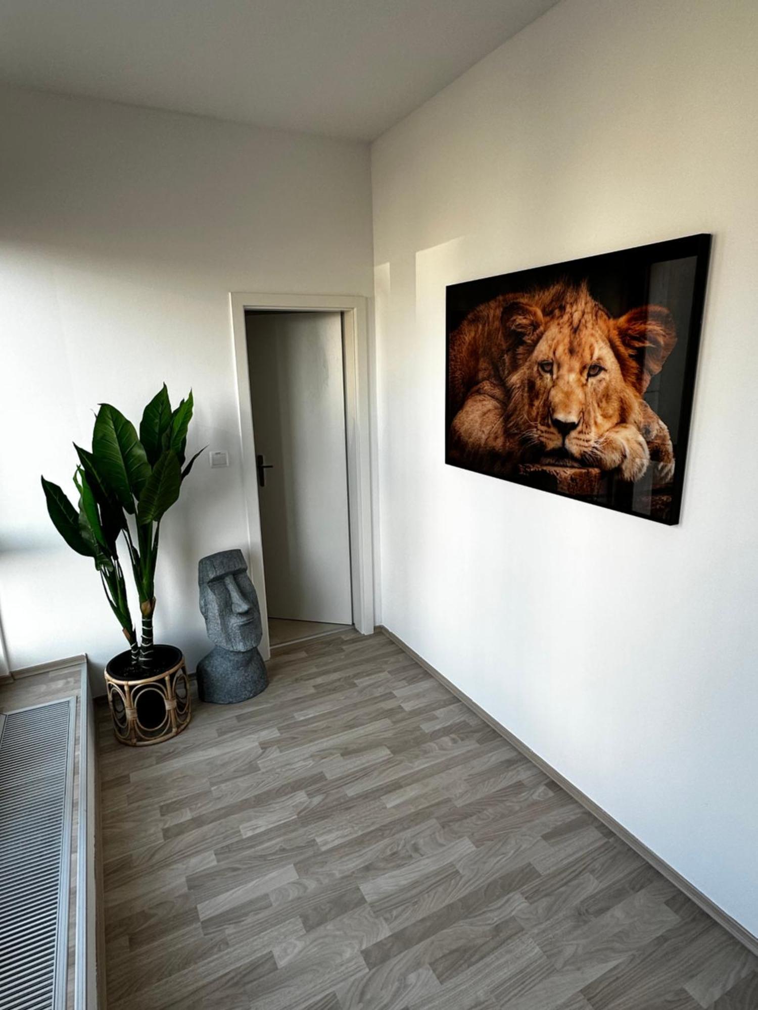 Apartament Luxury Penthouse At The Historical Centre With Free Parking Bratysława Zewnętrze zdjęcie